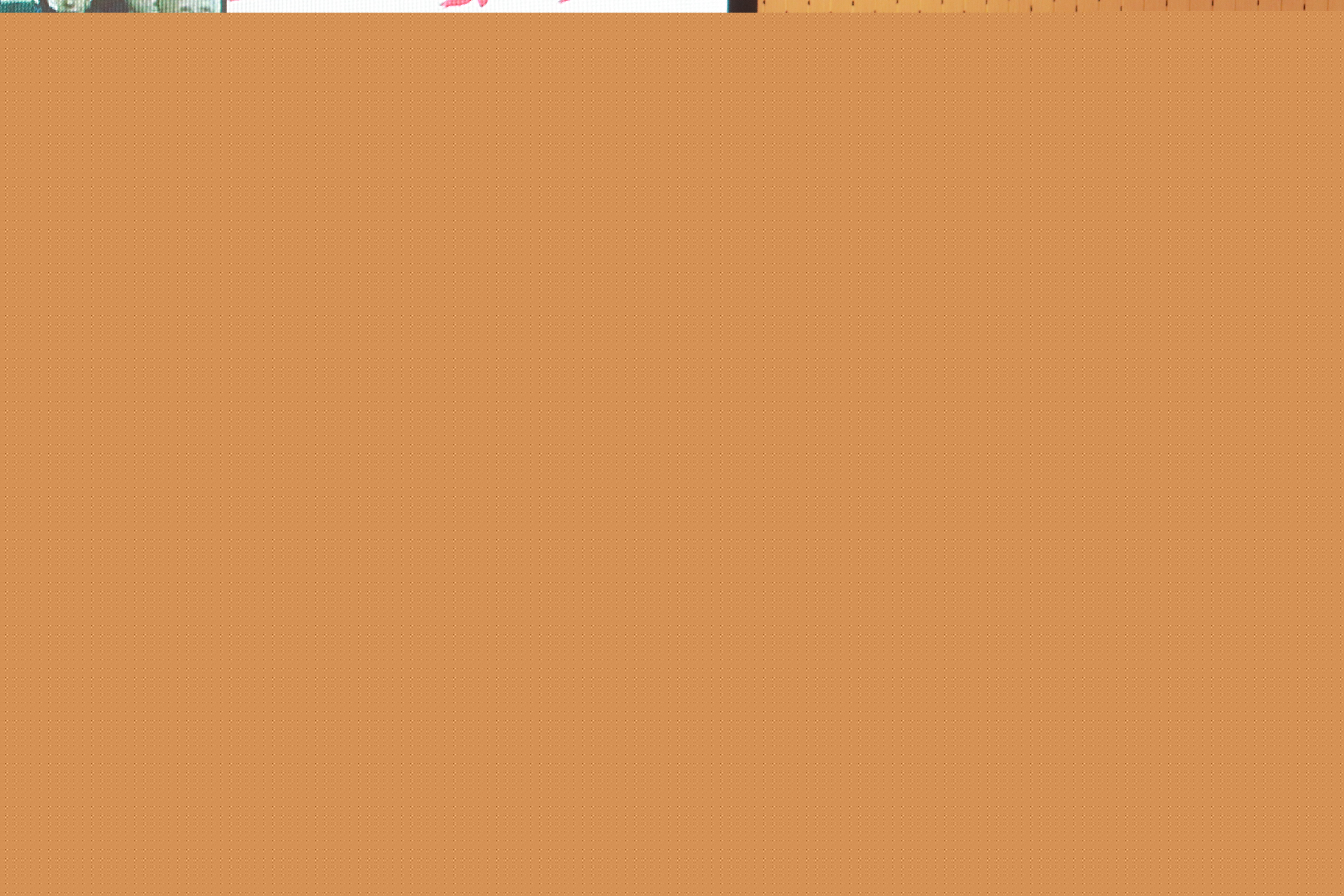 3F816F